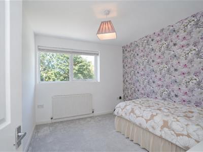 Picture 13
